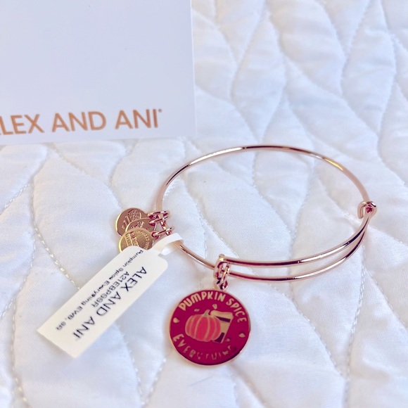 SALE! NWT, Alex & Ani, Pumpkin Spice Charm, Expandable Bracelet - Picture 3 of 3
